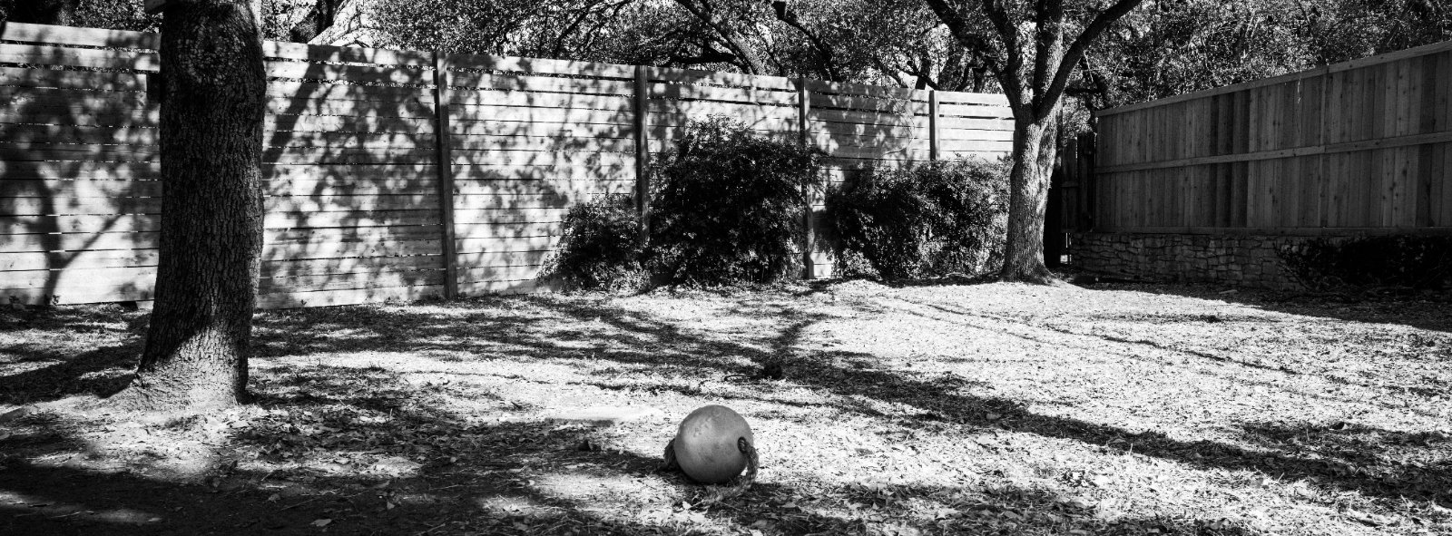 A weathered ball sits abandoned on gravel in a fenced backyard with mature trees casting dappled shadows.
