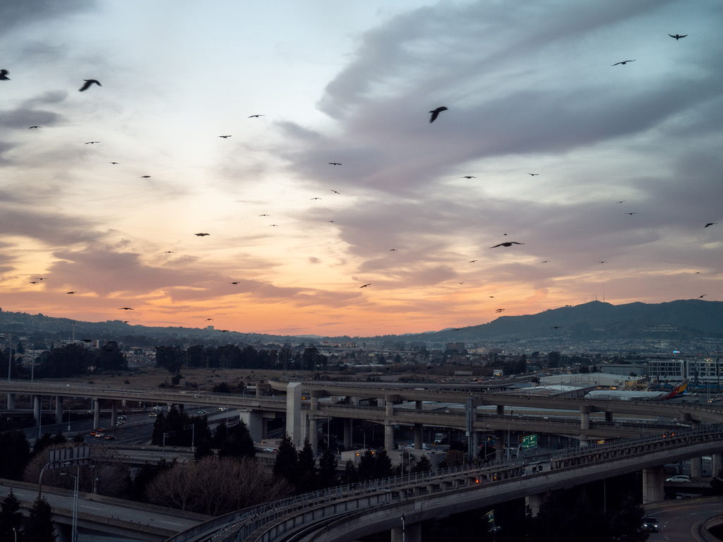 A flock of birds flies across a dramatic sunset sky above a sprawling urban landscape with elevated highways and distant hills.