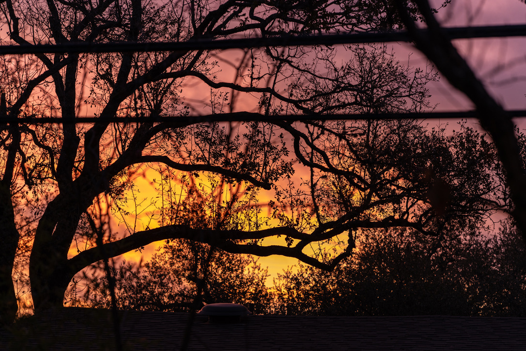 Bare tree branches silhouetted against a golden sunset sky viewed through a window.