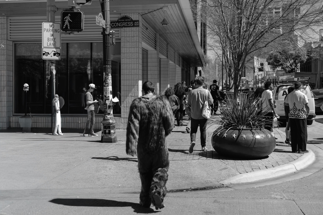 A person in a dark furry costume walks down a busy urban street with pedestrians and storefronts in the background.