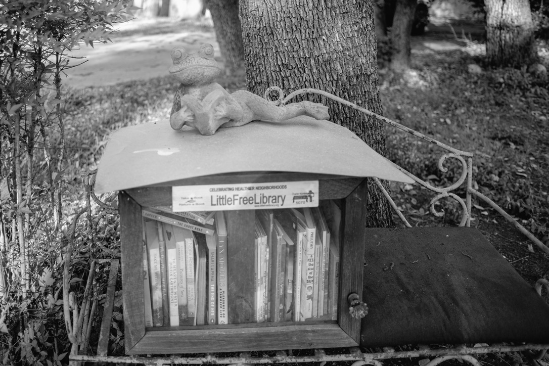 A whimsical Little Free Library with a decorative frog on top sits nestled among tree roots and vegetation in a black and white photograph.