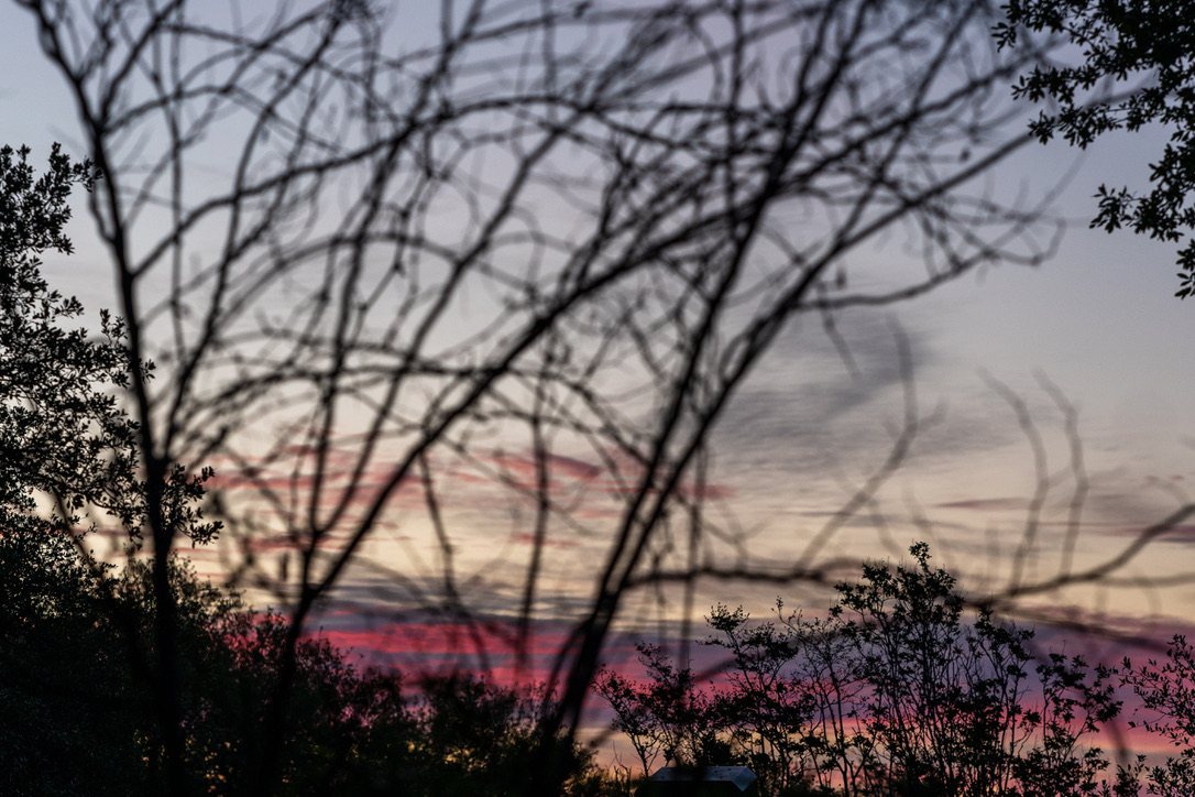Bare branches frame a distant sunset sky painted in shades of pink, purple, and cream over a misty landscape.