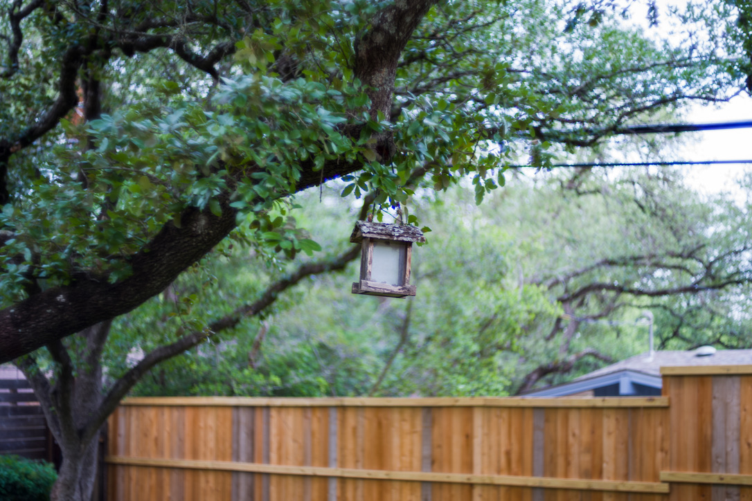 A rustic birdhouse hangs from a gnarled tree branch in a backyard with wooden fence and lush green foliage.